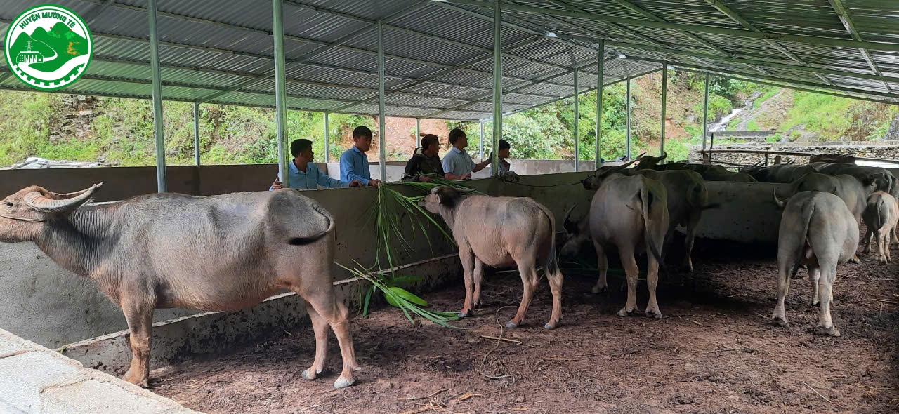 Đẩy mạnh các phong trào thi đua giảm nghèo bền vững trong nhân dân trên địa bàn huyện Mường Tè