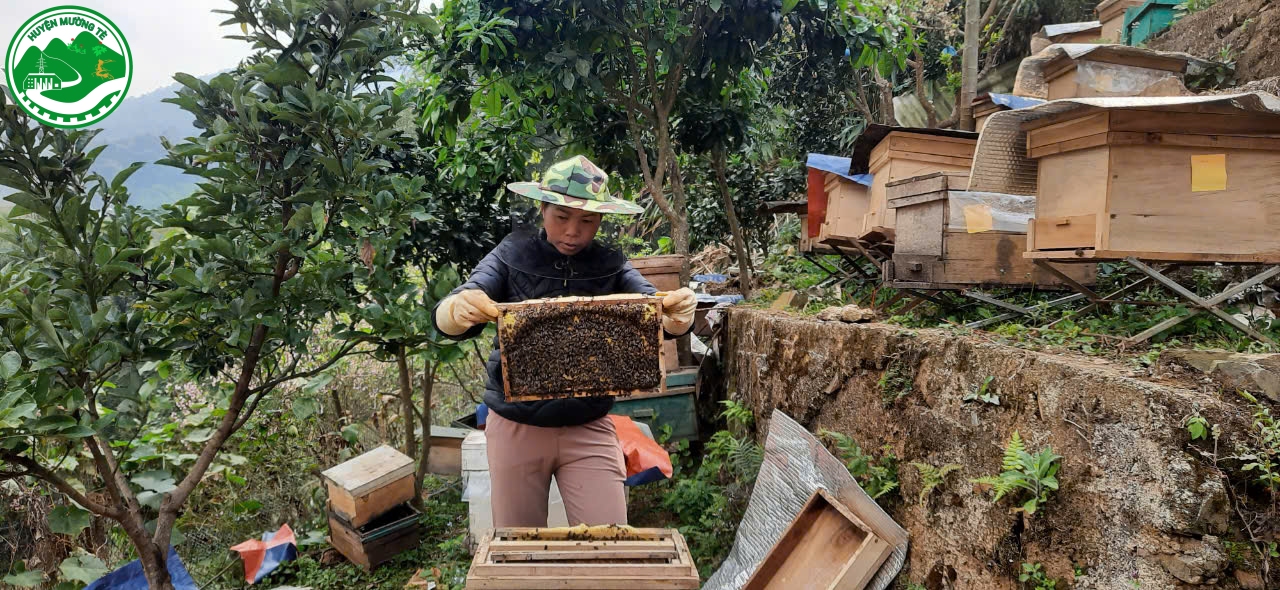 Mô hình nuôi Ong lấy mật mang lại hiệu quả kinh tế ở xã Ka Lăng