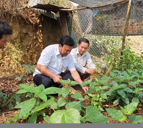 Hoạt động của hệ thống chính trị