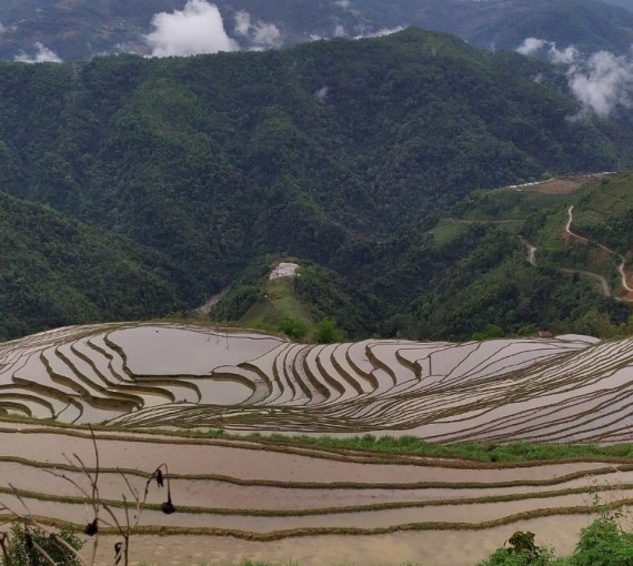 Ruộng bậc thang xã Thu Lũm